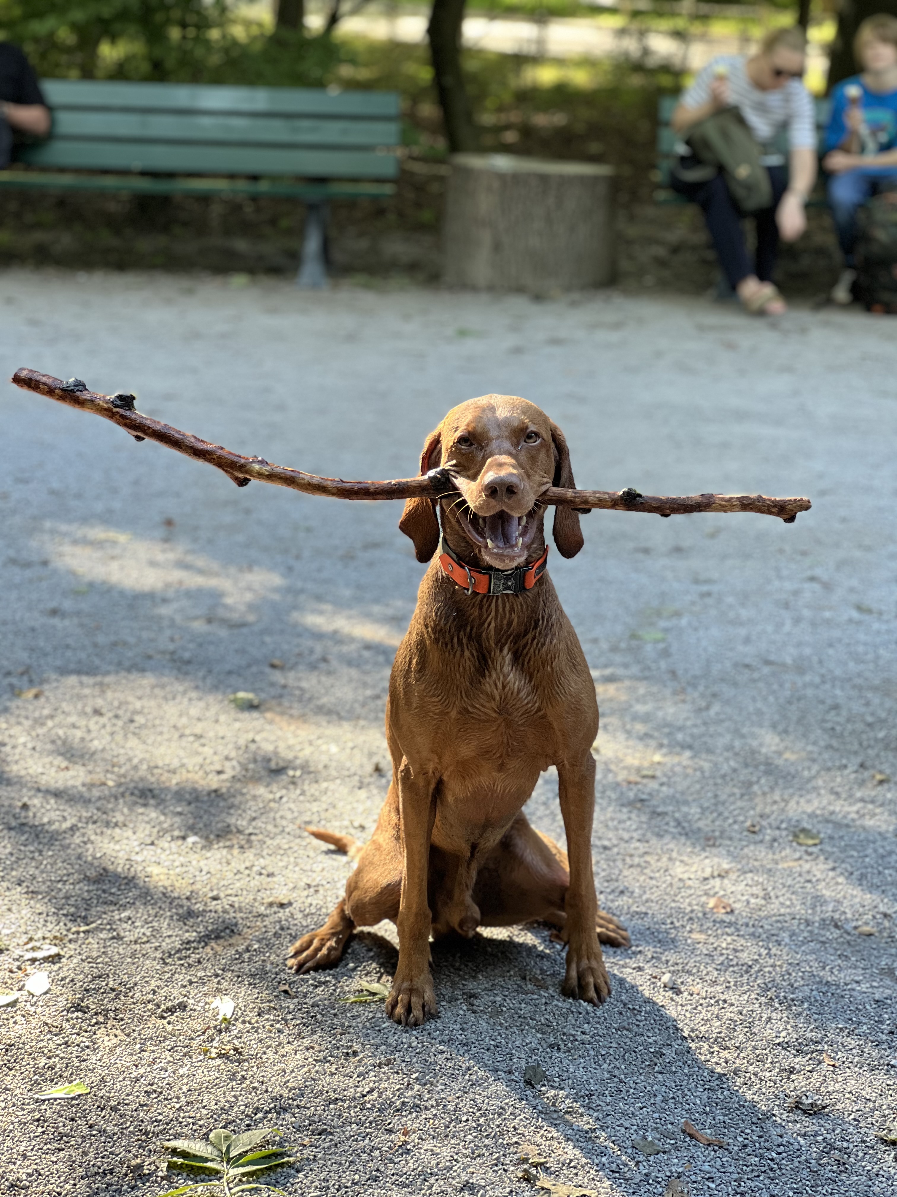 Kiosk am See-Einlauf Bild 6
